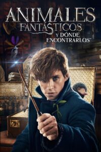 Animales Fantásticos: Y Dónde Encontrarlos (2016) 4K UHD HDR Dual Latino GD